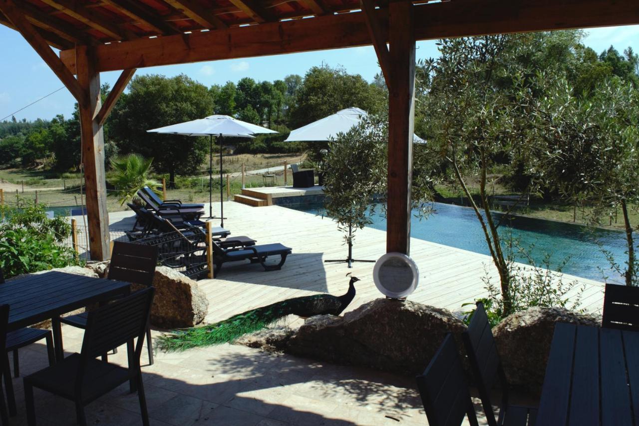Quinta Castanheira Appartement Santa Comba Dao Buitenkant foto