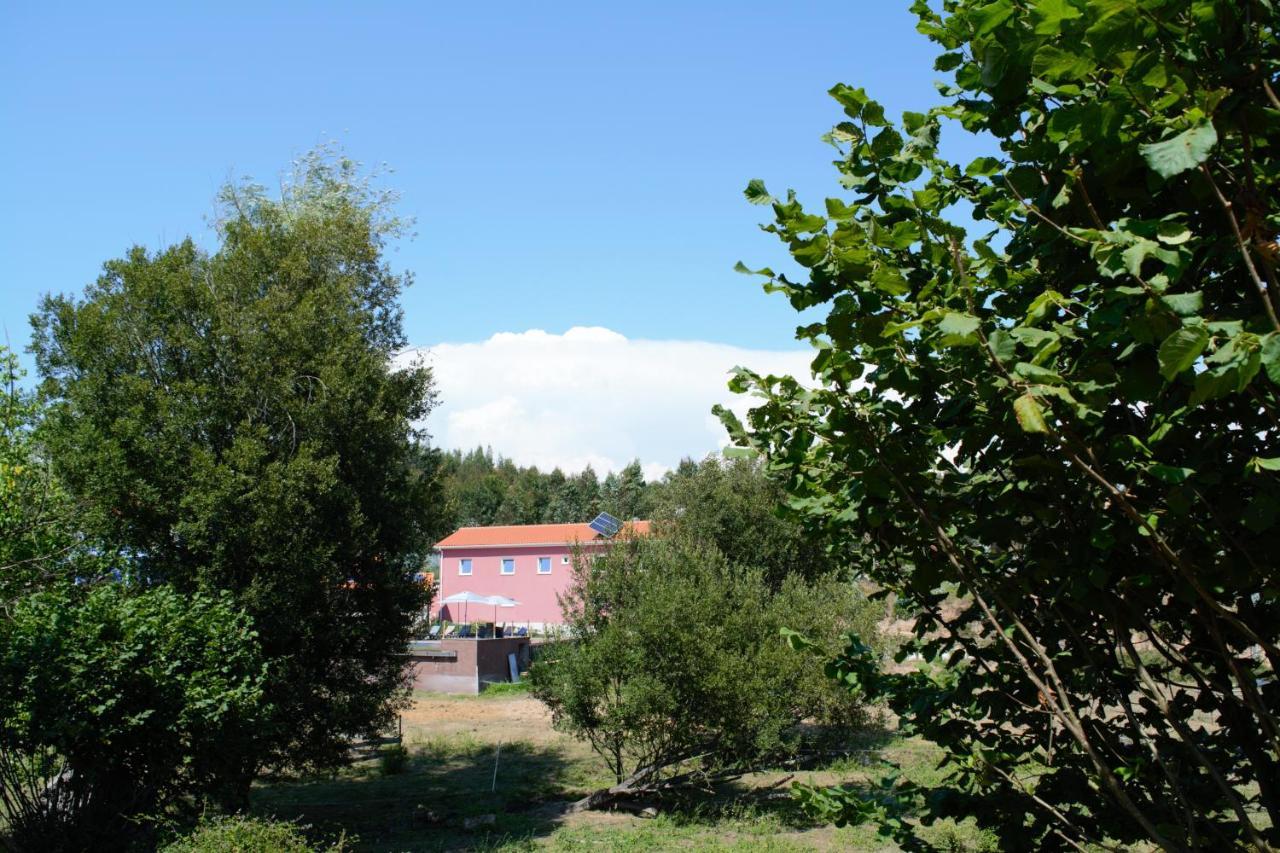 Quinta Castanheira Appartement Santa Comba Dao Buitenkant foto