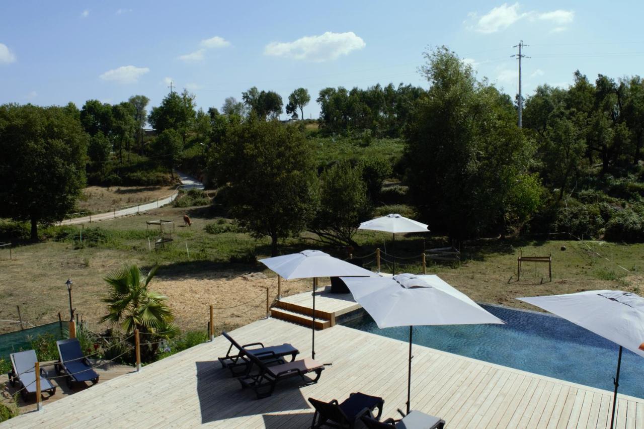Quinta Castanheira Appartement Santa Comba Dao Buitenkant foto